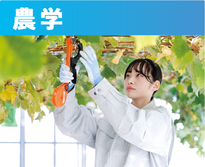 農業